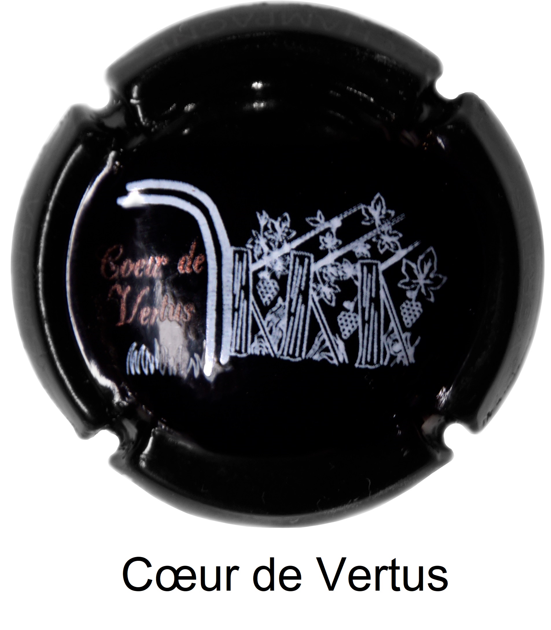 Capsule du Cœur de Vertus