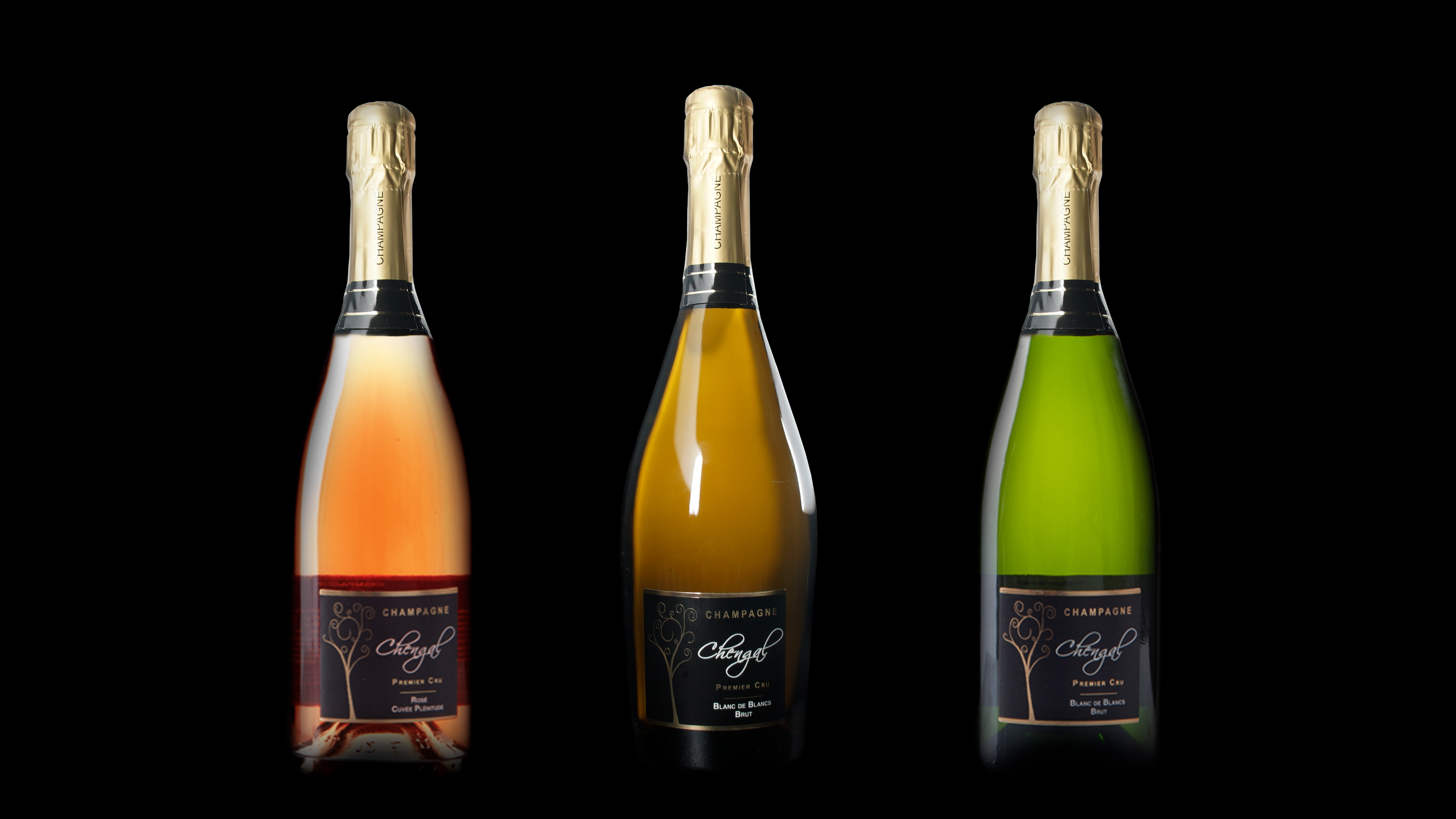 Bouteilles de champagne habillées